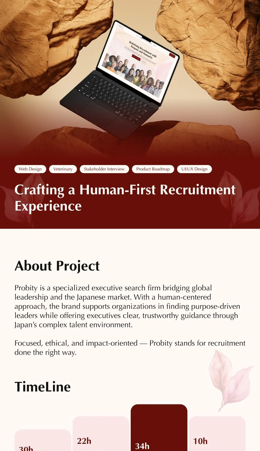 Probity — Cybersecurity Platform — full case study